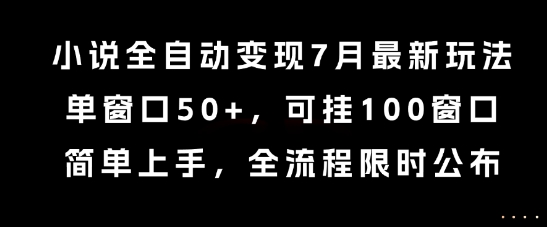 mp28895期-小说全自动变现7月玩法，单窗口50+，可挂100窗口，简单上手，全流程限时公布