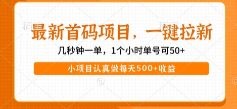 mp29008期-最新首码项目，操作最简单，收益高，一键拉新，1个小时单号可50+，小项目认真做每天5张+收益