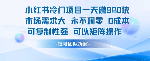mp29445期-小红书冷门项目一天收益9张，市场需求大，0成本，可复制性强可以矩阵操作