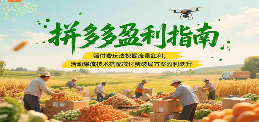 fy15571期-拼多多盈利指南：强付费玩法挖掘流量红利，活动爆流技术搭配微付费方案实现盈利跃升