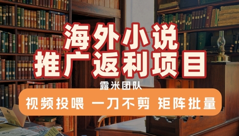 mp29577期-海外小说推广返利项目，视频投喂， 一刀不剪，矩阵批量