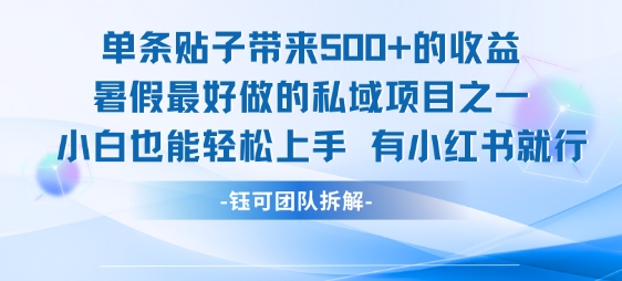 mp29989期-单条贴子带来5张的收益，暑假最好做的私域项目之一，小白也能轻松上手，有小红书就行