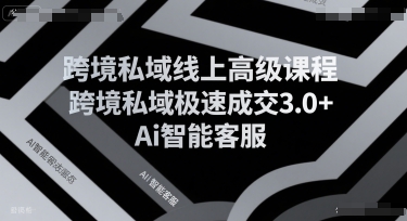 mp30329期-跨境私域线上高级课程，跨境私域极速成交3.0+Ai智能客服