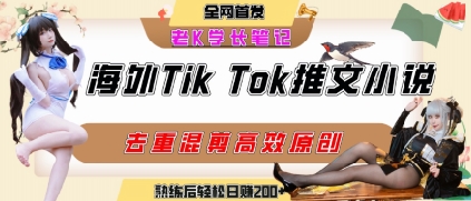 mp30336期-海外tiktok小说推文暴力项目，高停留率，高转化率，上手后一天搞顿饭钱不是问题