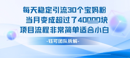 mp30862期-每天稳定引流30个人 当月变成超过了4个W项目流程非常简单适合小白