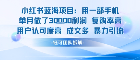 mp30959期-小红书蓝海项目，一部手机单月做了3W利润，小白也能月入过1W用户认可度高成交多