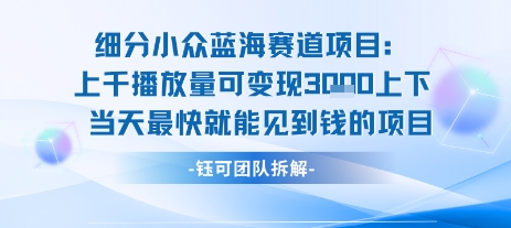mp31090期-小众蓝海赛道项目：当天变现1k+适合新手操作 +适合长期玩