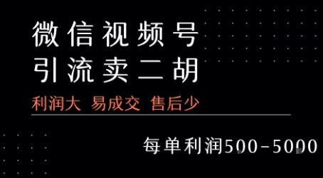 mp31093期-视频号卖二胡教程，利润大 易成交 售后少，一单利润5张+