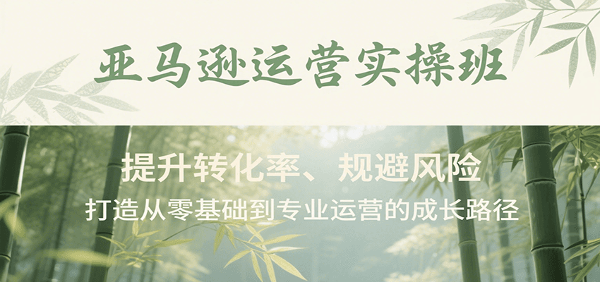 fy16140期-亚马逊运营实操班，提升转化率、规避风险，打造从零基础到专业运营的成长路径