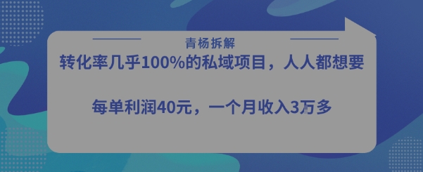 mp31230期-转化率最高的私域项目，每单利润40-50米，月入过1w
