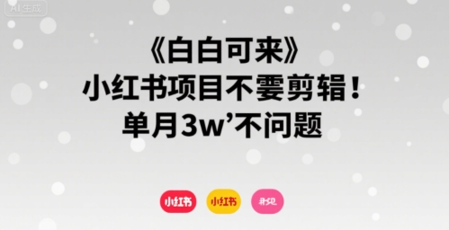 mp32039期-小白可来 小红书项目不需要剪辑 单月3w不是问题