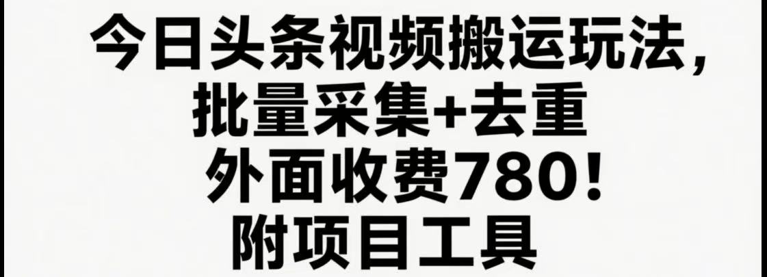 fy16519期-今日头条视频搬运玩法，软件一键去重，轻松日入500+附项目工具
