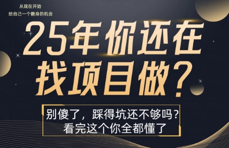 mp32147期-25年，你还在疯狂的找项目吗？别傻了，看完这个你都懂了