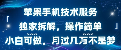 mp32584期-苹果手机技术服务，独家拆解，操作简单，小白可做，月过1W不是梦