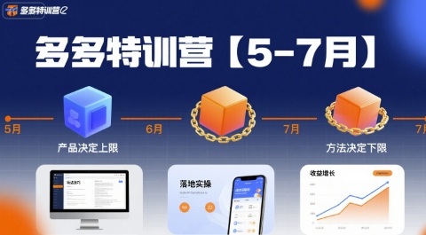 mp32667期-多多特训营【5-7月】产品决定上限，方法决定下限，各种玩法技巧落地实操