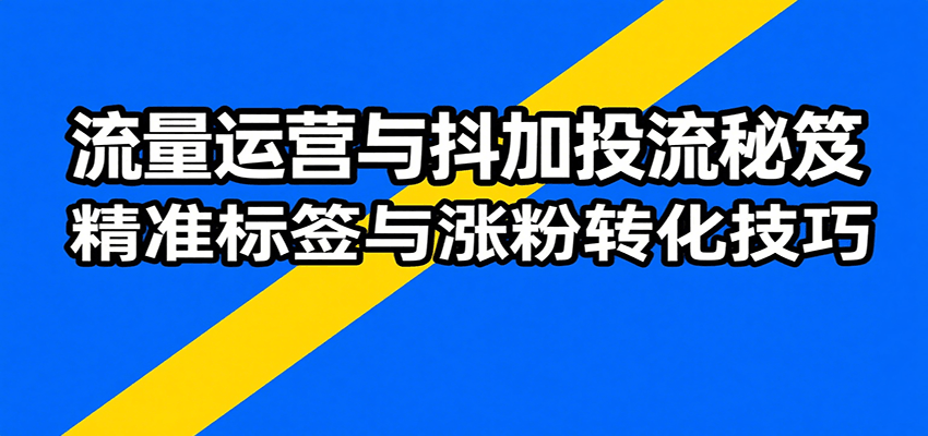 fy17266期-流量运营与抖加投流秘笈，含算法解析、爆款打造、精准标签与涨粉转化技巧