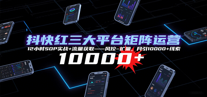 fy17518期-抖快红三大平台矩阵运营，12小时SOP实战+流量获取-风控-扩量，月引10000+线索