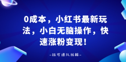 mp35067期-0成本，小红书最新玩法，小白无脑操作，快速涨粉变现