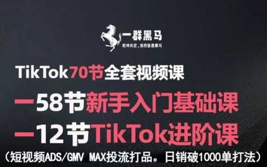 mp35287期-TikTok全套视频课，新手入门+进阶课，短视频ADS-GMV MAX投流打品，日销破1000单打法