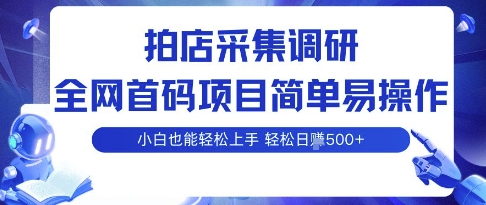 mp35468期-拍店采集调研，全网首码项目，简单易操作， 小白也能轻松上手，多账号操作，轻松日入5张