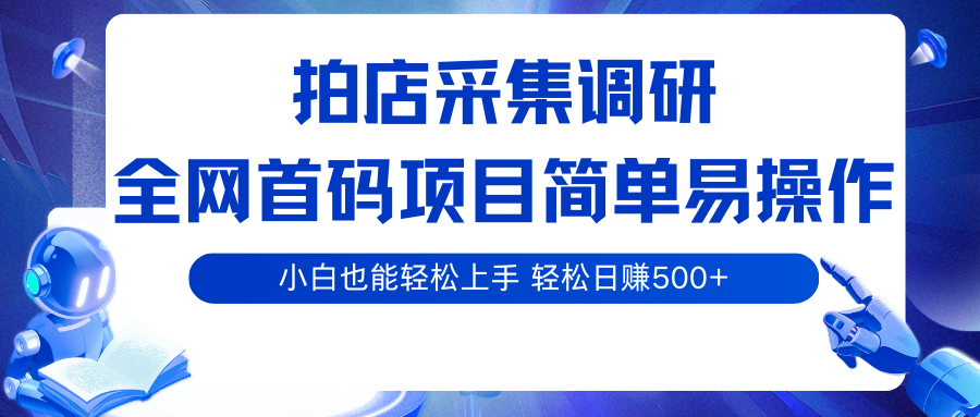 fy18010期-拍店采集调研，全网首码项目，简单易操作， 小白也能轻松上手，轻松日赚500+