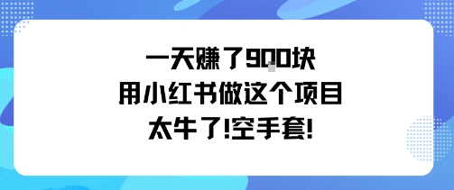 mp37830期-一天挣了9张用小红书做这个项目太牛了，空手套