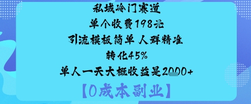 mp38563期-私域冷门赛道:单个收费198米引流模板简单人群精准转化45%单人一天大概收益是1k+