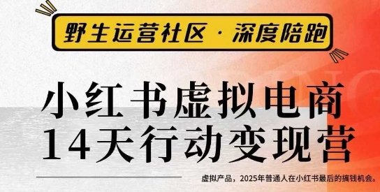 mp39105期-小红书虚拟电商14天变现训练营3.0，​虚拟产品，2025年普通人在小红书最后的搞钱机会