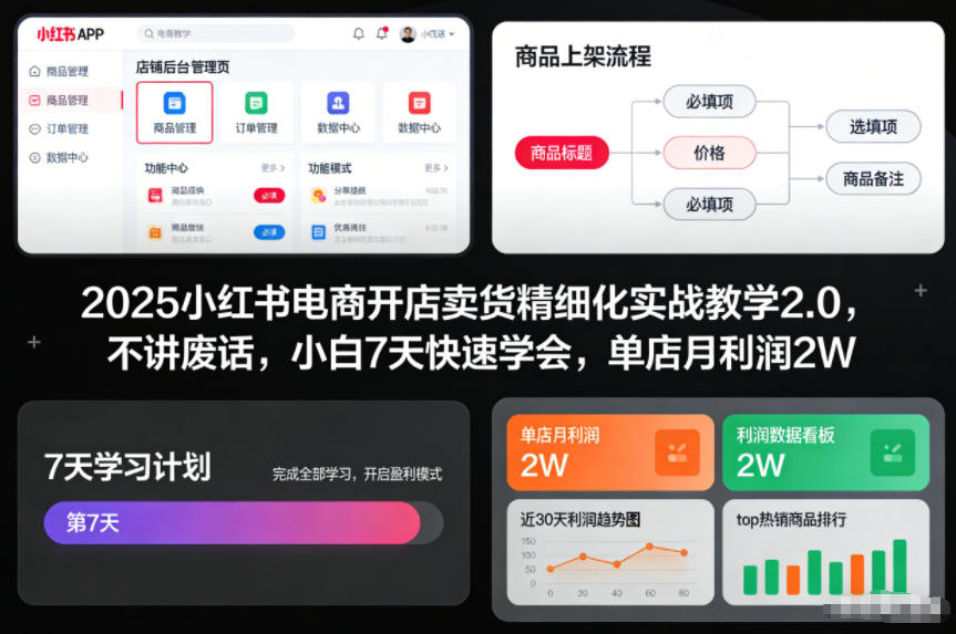 mp44776期-2025小红书电商开店卖货精细化实战教学2.0，不讲废话，小白7天快速学会，单店月利润2W