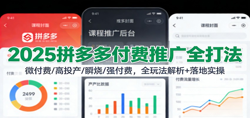 fy21745期-2025拼多多付费推广全打法：微付费/高投产/瞬烧/强付费，全玩法解析+落地实操