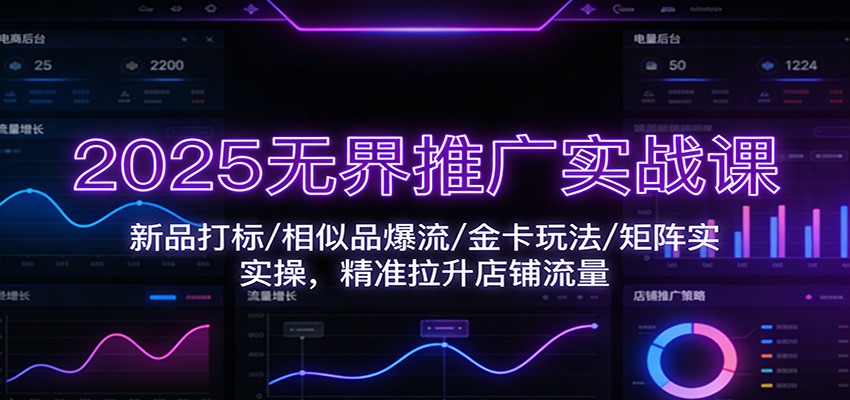 fy21746期-2025无界推广实战课：新品打标/相似品爆流/金卡玩法/矩阵实操，精准拉升店铺流量