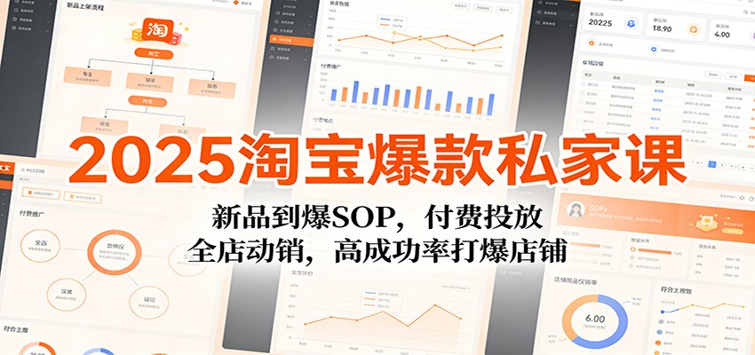 fy21772期-2025淘宝爆款私家课：新品到爆SOP，付费投放，全店动销，高成功率打爆店铺