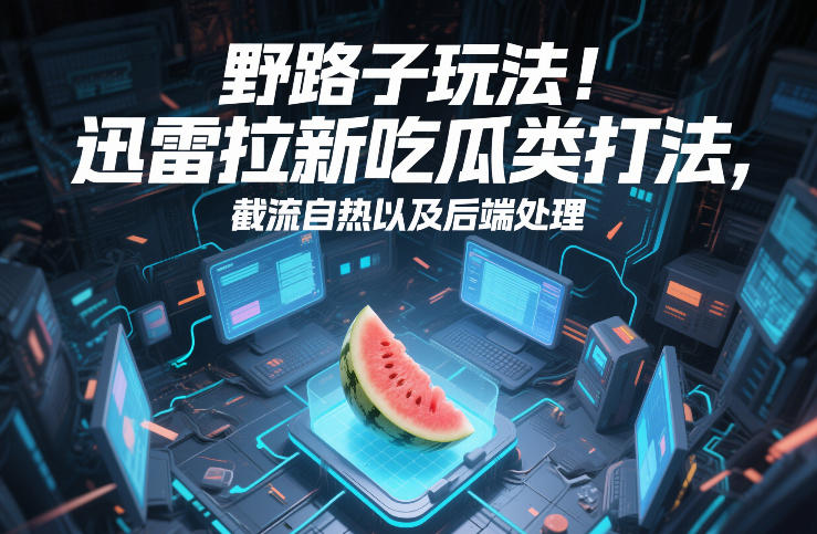 野路子玩法!迅雷拉新吃瓜类打法,截流自热以及后端处理-800资源网