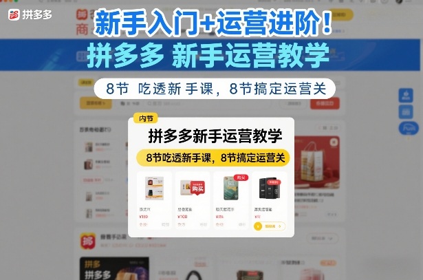 新手入门+运营进阶！拼多多新手运营教学，8节吃透新手课，8节搞定运营关-800资源网