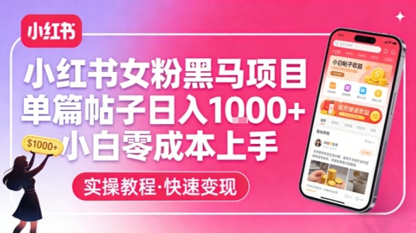 小红书女粉黑马项目，单篇帖子日入1k+，小白零成本上手-800资源网