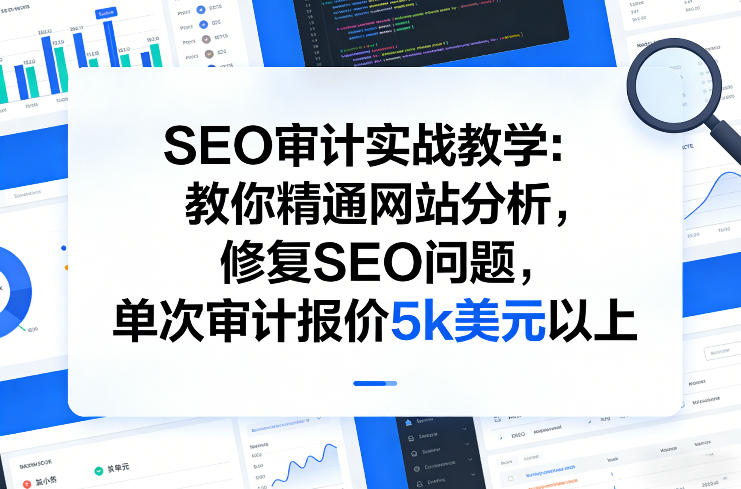 SEO审计实战教学:教你精通网站分析,修复SEO问题,单次审计报价5k美元以上-800资源网