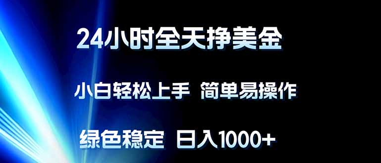 24小时全天挣美金，小白轻松上手，简单易操作，绿色稳定，日入1000+-800资源网