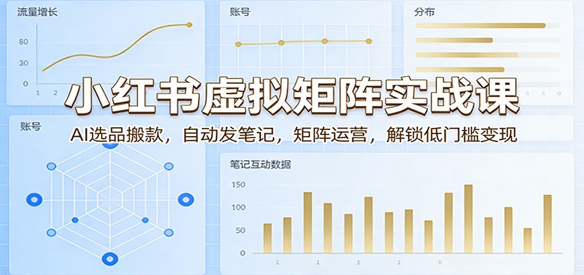 小红书虚拟矩阵实战课：AI选品搬款，自动发笔记，矩阵运营，解锁低门槛变现-800资源网