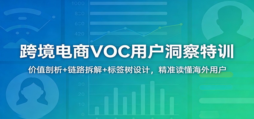 跨境电商VOC用户洞察特训:价值剖析+链路拆解+标签树设计,精准读懂海外用户-800资源网
