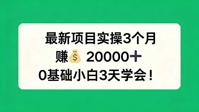 最新项目实操3个月，赚钱20000+，0基础小白3天学会！-800资源网