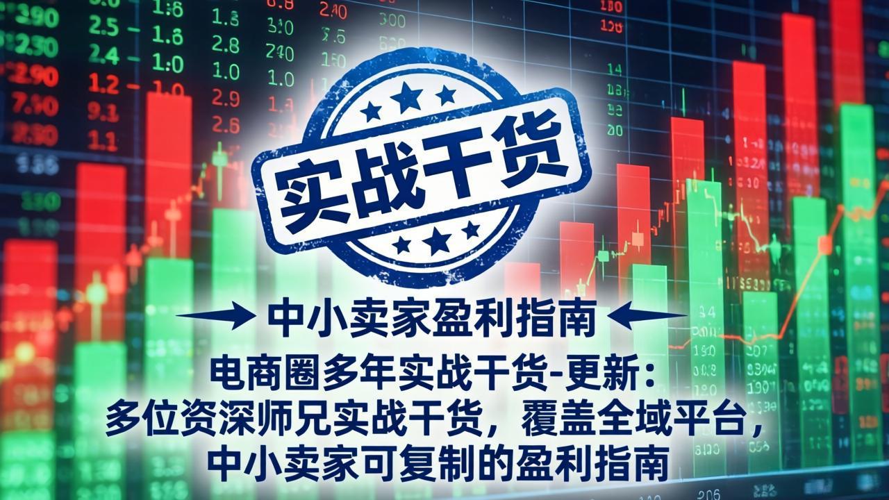 电商圈多年实战干货-更新4月:多位资深师兄实战干货,覆盖全域平台,中小卖家可复制的盈利指南-800资源网