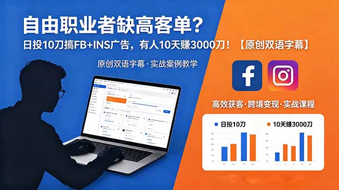 自由职业者缺高客单？日投 10 刀搞 FB+INS 广告，有人 10 天赚 3000 刀！【原创双语字幕】-800资源网