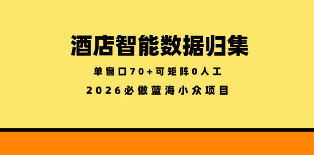 酒店智能数据归集，小众蓝海已经稳定半年之久，单窗口70+零成本矩阵开干-800资源网