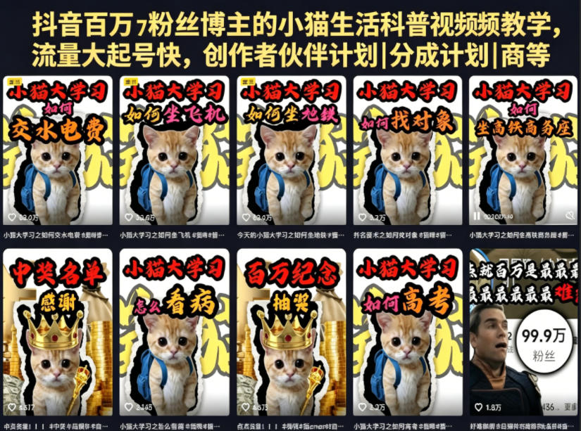 抖音百万粉丝博主的小猫生活科普视频教学，流量大起号快，创作者伙伴计划|分成计划|商单|收徒等-800资源网