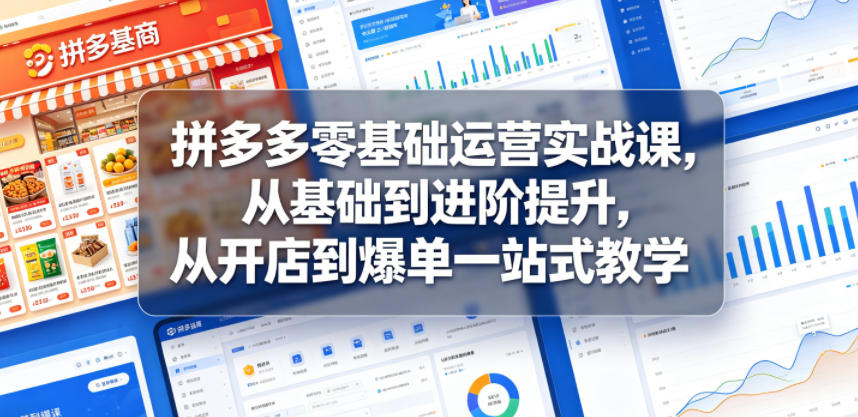 拼多多零基础运营实战课，从基础到进阶提升，从开店到爆单一站式教学-800资源网