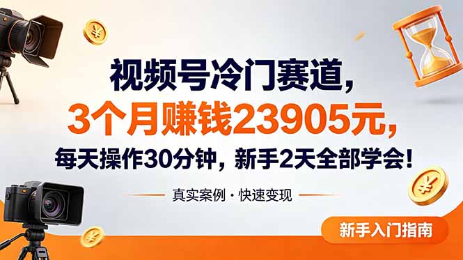 视频号冷门赛道，3个月变现23905元，新手2天学会 每天操作30分钟！-800资源网