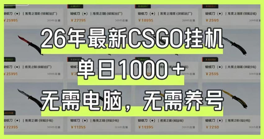 26年最新CSGO挂G系统，单日1000+，无需电脑，无需养号，0基础可上手-800资源网