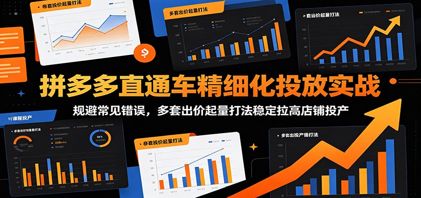 拼多多直通车精细化投放实战:规避常见错误,多套出价起量打法稳定拉高店铺投产-800资源网