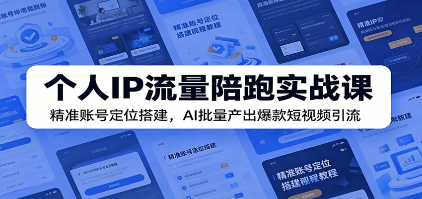 个人IP流量陪跑实战课：精准账号定位搭建，AI批量产出爆款短视频引流-800资源网