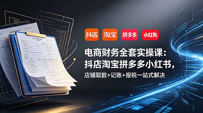 电商财务全套实操课:抖店淘宝拼多多小红书,店铺取数+记账+报税一站式解决-800资源网